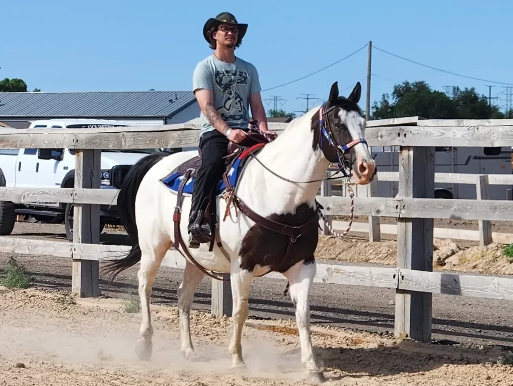 Equestrian Lessons