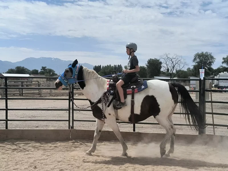 Equestrian Lessons