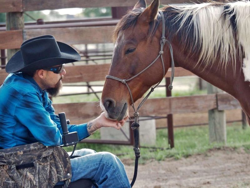 horse photo shoot banner