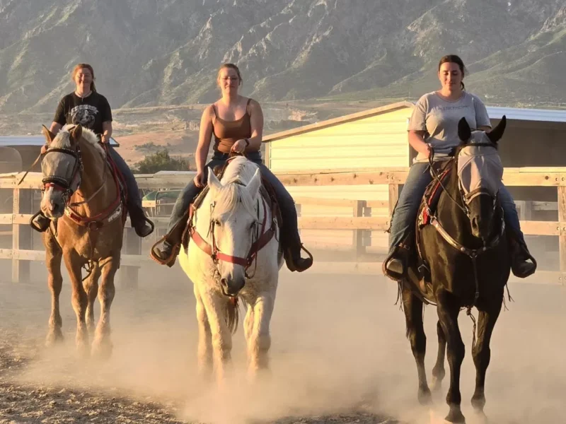 horse ride