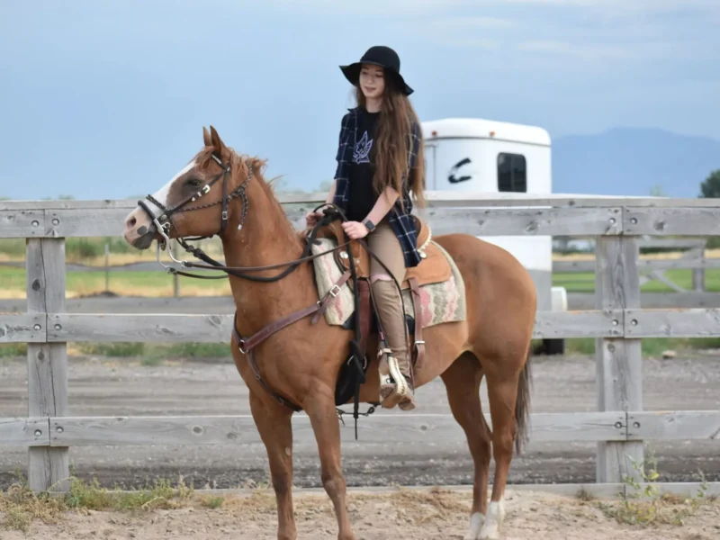 horse riding photoshoot