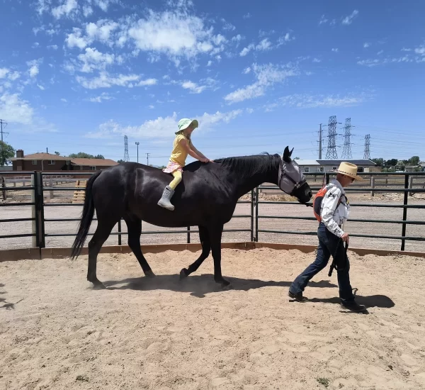 Horseback Riding Lessons