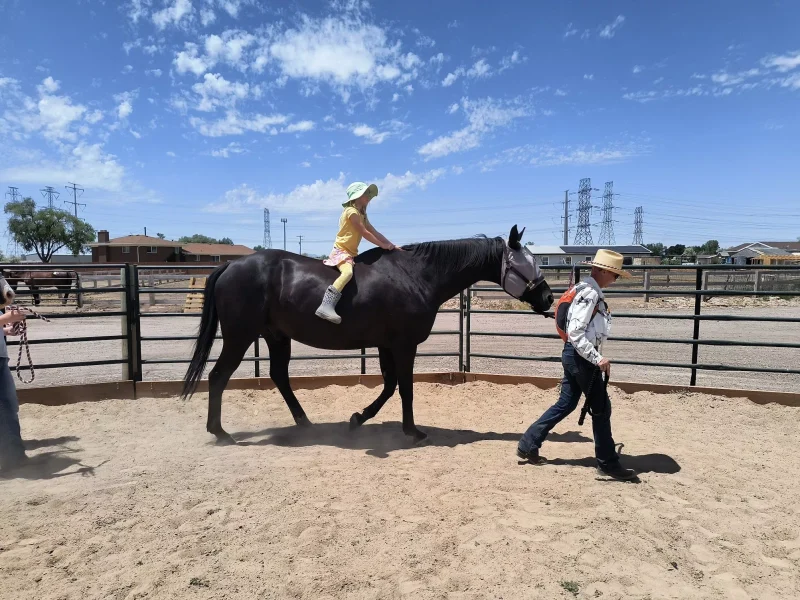 Horseback Riding Lessons